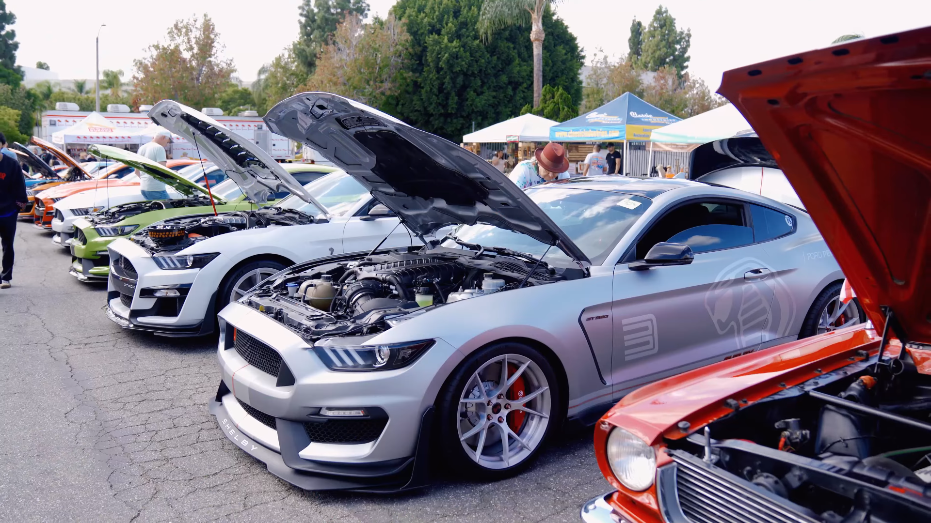 gt350 Archives - Project 6GR