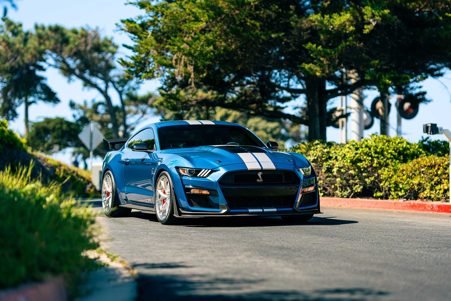 atlas blue s550 ford mustang gt500 with two piece forged project 6gr ten r wheels
