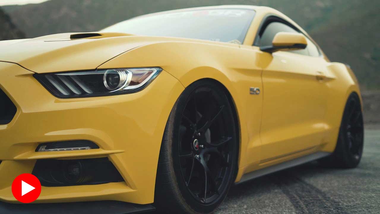 bagged triple yellow mustang