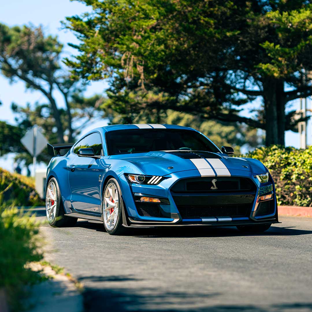 static shot of blue mustang gt500 with project 6gr forged wheels