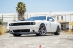 Project 6GR FIVE Satin Graphite Front Down View
20x10 | 275/40/20 Continental DW
20x11 | 315/35/20 Continental DW
Dodge Challenger 392 SRT