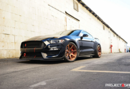 project-6gr-7-seven-candy-copper-gt350r-07