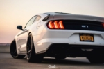 Project 6GR-TEN-Gloss Black Oxford white GT