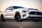 Project 6GR-TEN-Gloss Black Oxford white GT