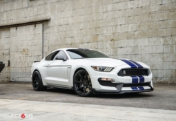 project-6gr-7-r-spec-gloss-black-white-shelby-gt350-05
