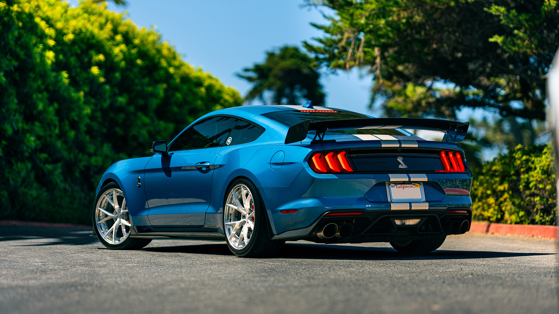 ford dealership program customer