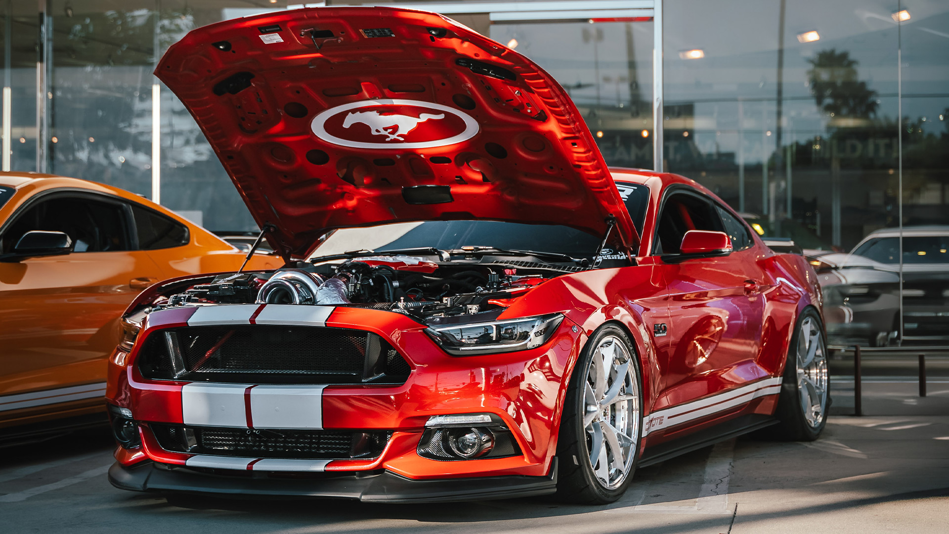 ford dealership program dealer