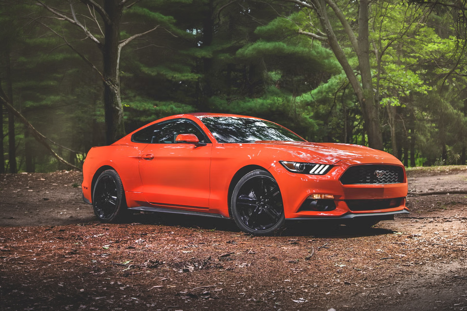s550 ford mustang v6 base